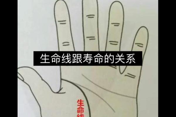 手中藏人生：一招手相看生命，洞察命运吉凶