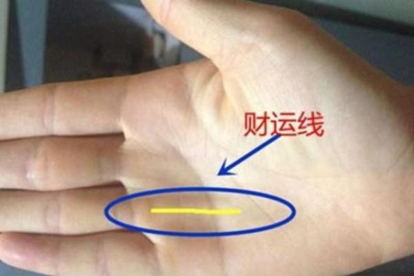 看钟汉良手相，揭秘他的财运和爱情运势！