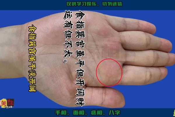 短指奇缘：揭秘手指末端短手背后的惊人运势