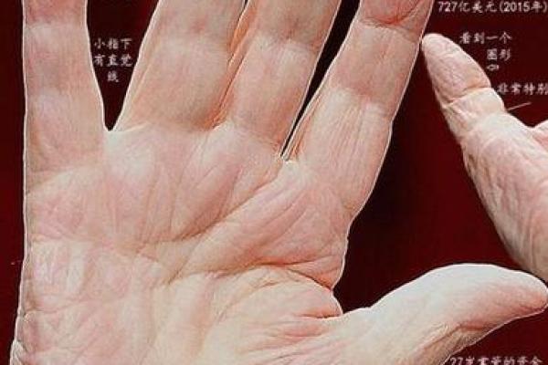手相中的巨富纹：掌握财运，迈向人生巅峰的秘密