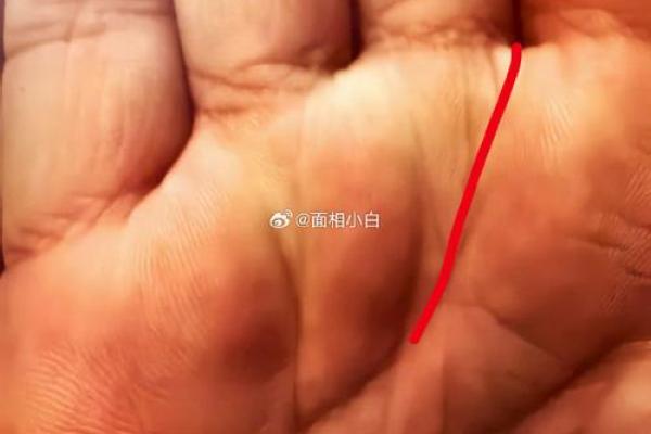 手相中的巨富纹：掌握财运，迈向人生巅峰的秘密