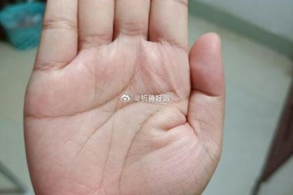 解锁美丽密码：揭秘女人面相与手相的神秘魅力