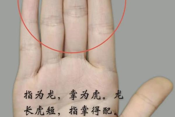 解锁美丽密码：揭秘女人面相与手相的神秘魅力
