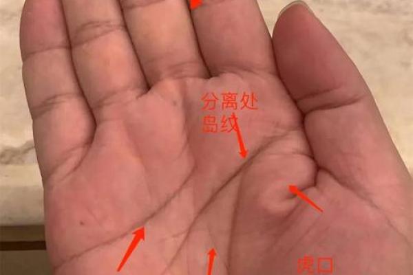 斗气手相揭秘：运势翻倍的神秘密码