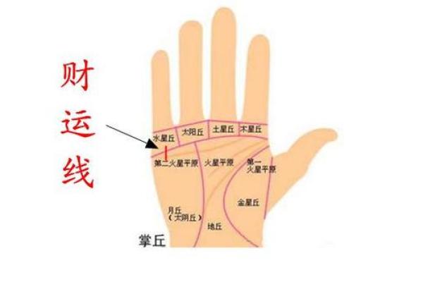 男人理财手相揭秘：掌握财运，从此不再迷茫
