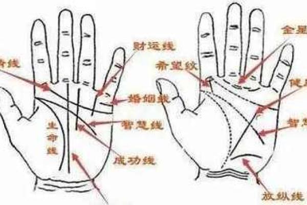 手相面相秘籍大公开