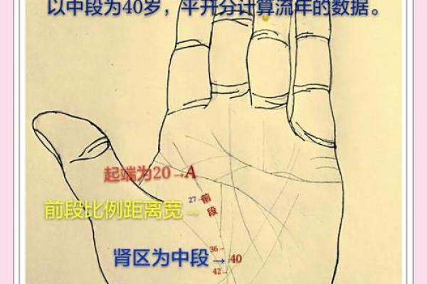 掌中奥秘：揭秘女性手相的神秘魅力