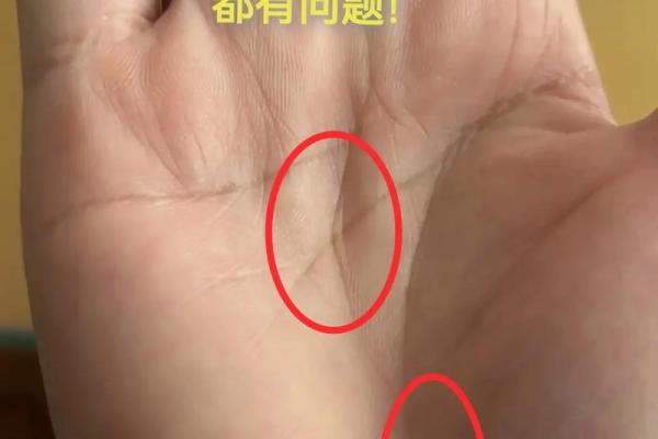 手相大师亲授，清晰手相背后的秘密