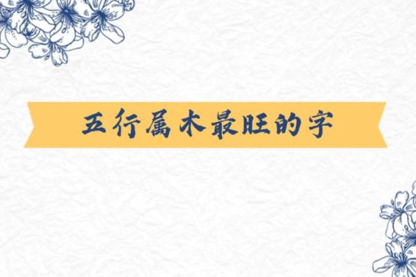 探究冠字五行属性及其象征