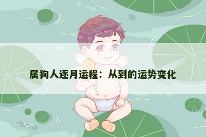 属狗人逐月运程：从到的运势变化