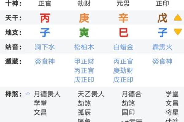未月命理与人生运势的深层解析