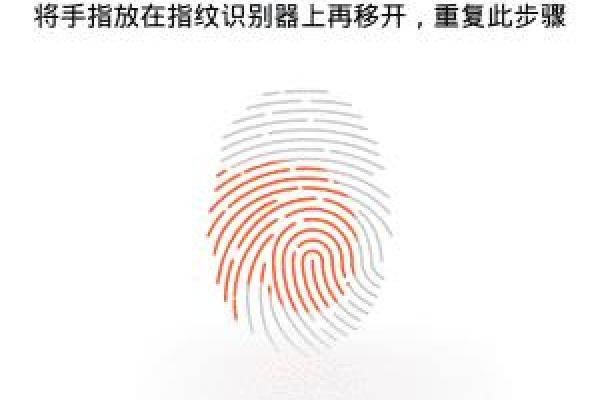 指纹与命运的关联：揭示生命轨迹的独特密码