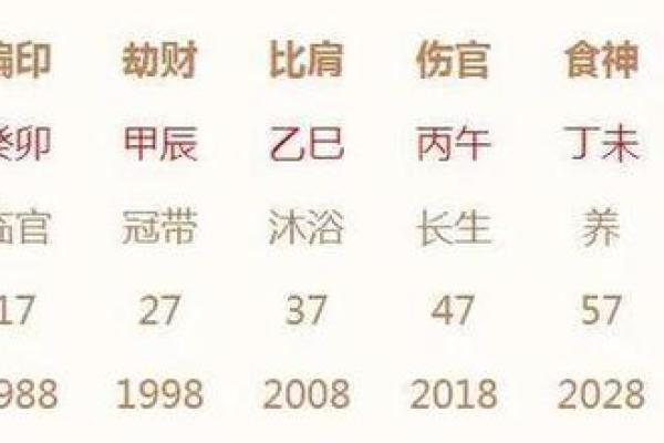 张庭命理解析：如何通过命运走向成功