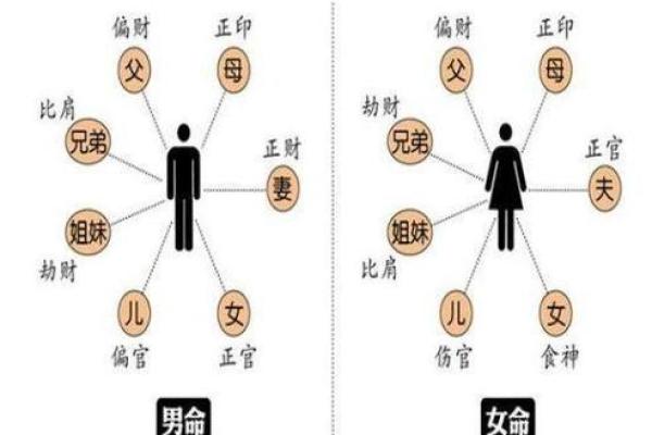 州字的五行属性解析及其对命理的影响