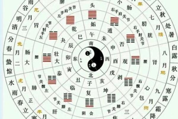 中华命理风水网：解读命理与风水的奥秘，助力人生发展