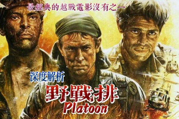心字五行属什么解析与深度分析