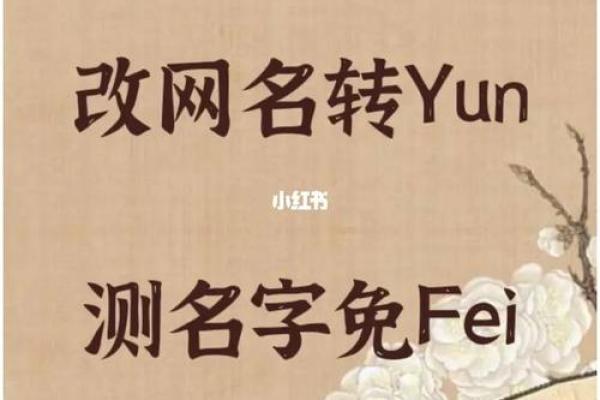 如何通过测名字打分了解名字的寓意与影响力