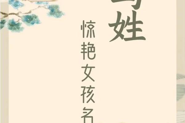 马宝宝起名：如何为新生马宝宝选择一个独特又寓意深远的名字