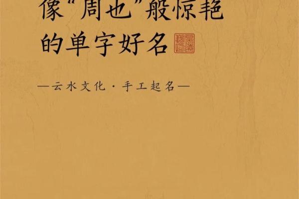 宝宝起名字免费工具，快速找到心仪名字
