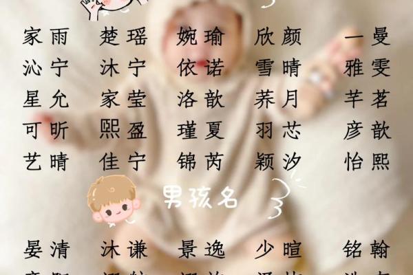 宝宝起名字免费工具，快速找到心仪名字