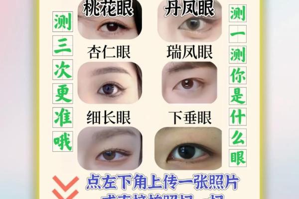 免费测名字打分，轻松了解名字的潜力