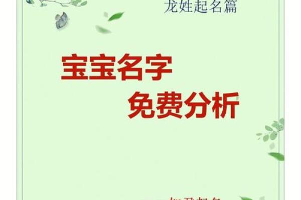 体验免费的自动取名功能，轻松解决取名难题