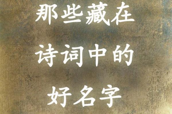 体验免费的自动取名功能，轻松解决取名难题