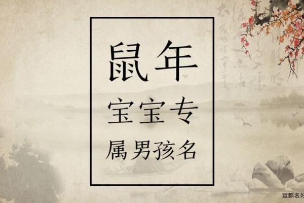 鼠年宝宝名字大全：寓意吉祥、顺利的名字精选