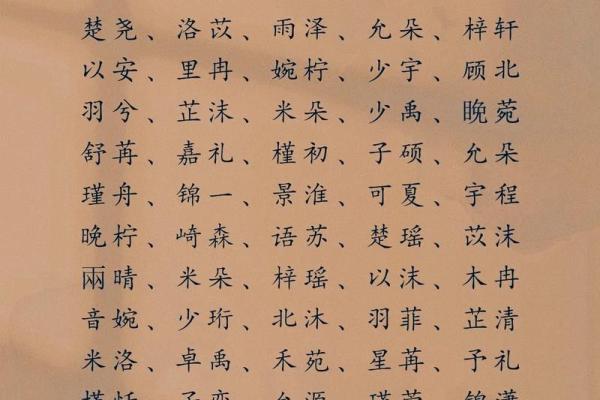 星字在起名中的应用与现代趋势分析
