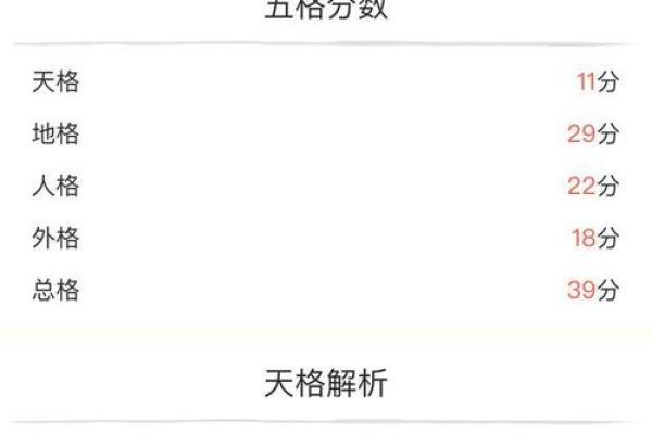 姓名打分测试：通过免费工具解析名字的含义