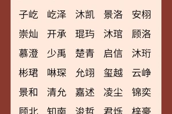 朱姓女孩名字推荐：传承与个性的完美结合