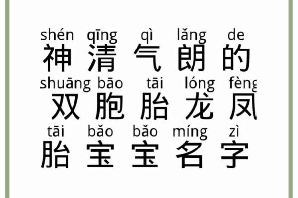 如何为龙凤胎宝宝取一个寓意深远的名字