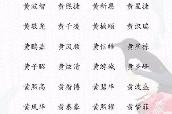 黄姓男孩取名技巧：寓意与音韵的完美结合