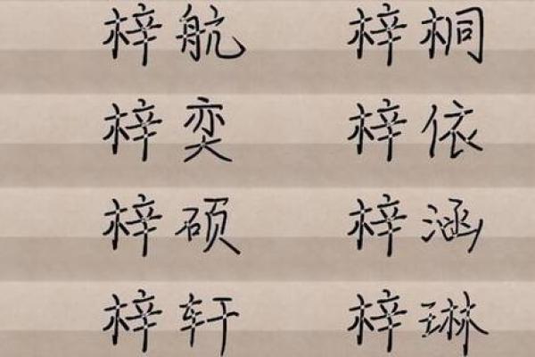 梓字在男孩取名中的寓意与选择技巧