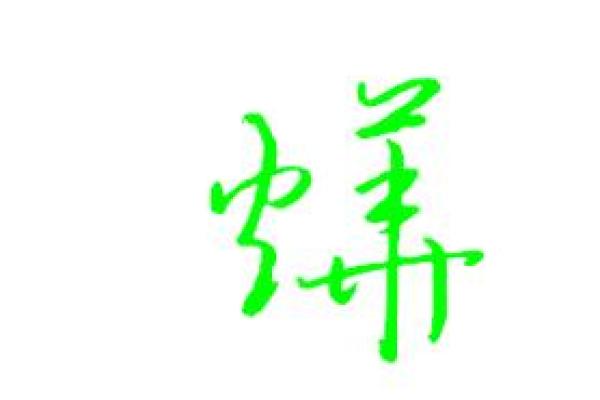 焜字取名寓意分析与应用技巧