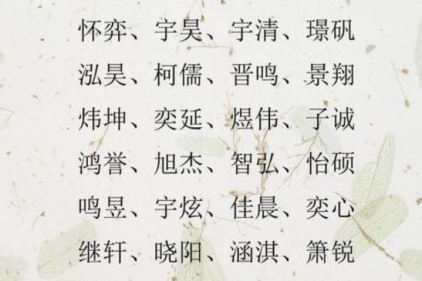 新生男宝宝名字大全 结合传统与现代的名字灵感