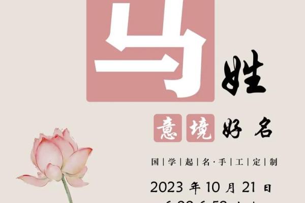 个体户取名技巧与创意方法解析