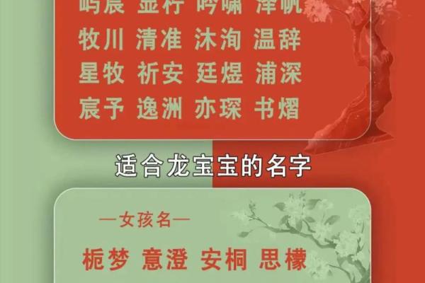 如何通过宝宝起名字软件为孩子选择一个寓意深长的名字