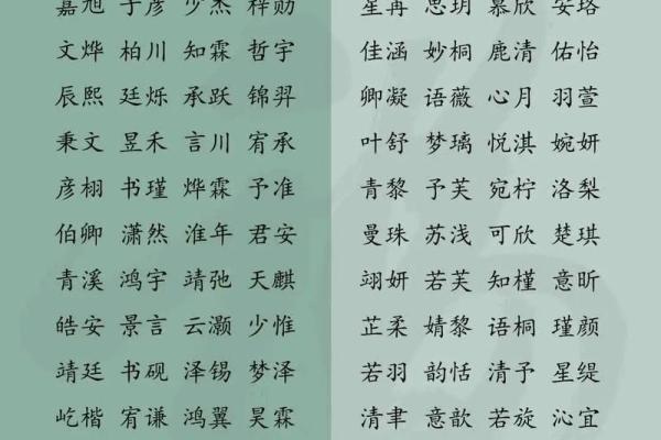 如何通过宝宝起名字软件为孩子选择一个寓意深长的名字