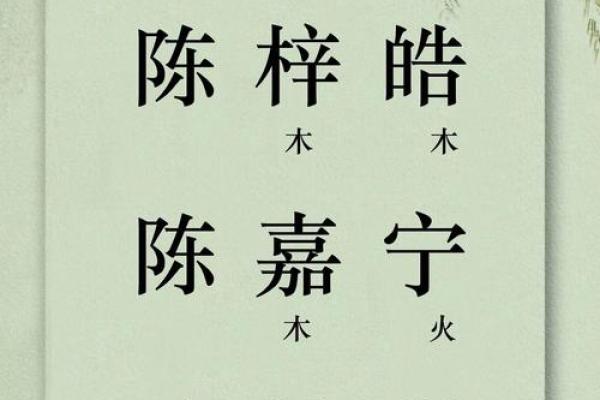 陈宝宝女孩起名推荐与寓意解析