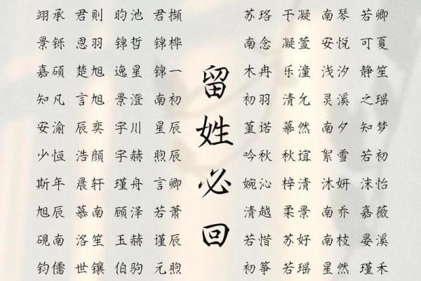陈宝宝女孩起名推荐与寓意解析