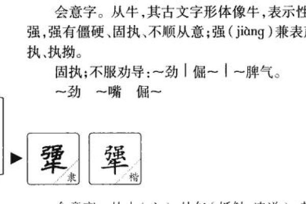 懿字五行属什么及其寓意解析