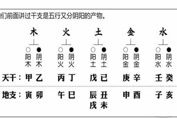 忆字五行属性解析及其对命理的影响