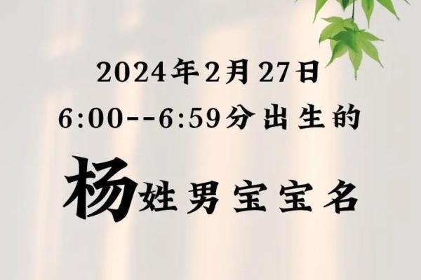 探索杨姓取名的艺术与技巧