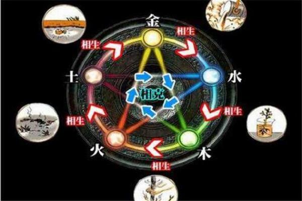 竹字五行属性解析及其在命理中的意义