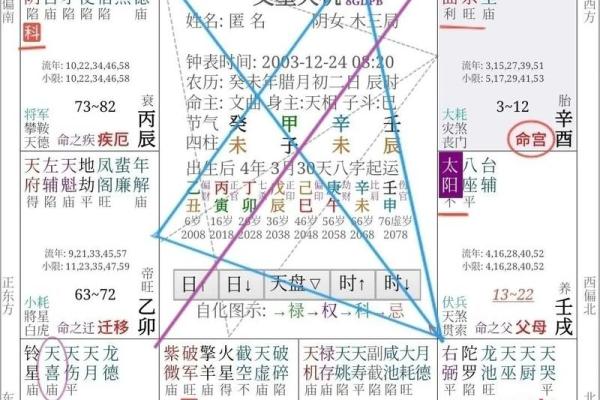 紫薇命理的深度解析与人生运势的关系