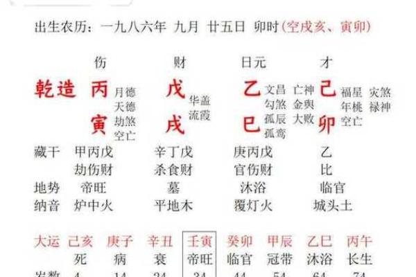 乙亥五行解析：揭示乙亥年的五行属性与命理影响