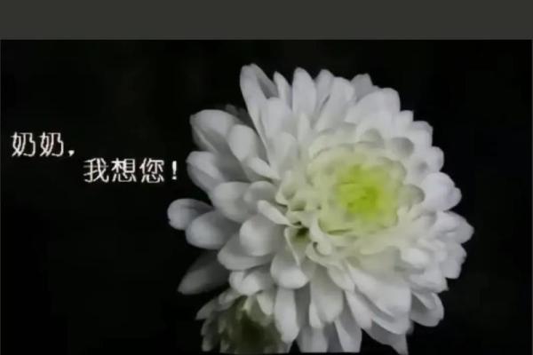 梦到奶奶已故的象征意义是什么？