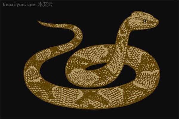 解密梦境中的蛇：是警告还是吉兆？