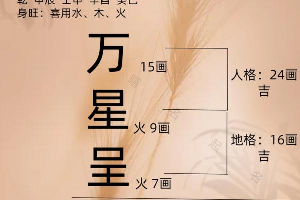 如何根据五行八字为宝宝起名